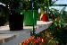 GREENHOUSES - Close up photos
