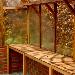 GREENHOUSES - Staging