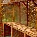 GREENHOUSES - Staging