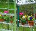 GREENHOUSES: ALUMINIUM GREENHOUSES and WOODEN GREENHOUSES - Free downpipes included