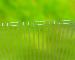 GREENHOUSES: ALUMINIUM GREENHOUSES and WOODEN GREENHOUSES - Twin wall polycarbonate glazing included free