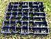 GREENHOUSES: ALUMINIUM GREENHOUSES and WOODEN GREENHOUSES - Recycled plastic DIY base kits - 300 tonnes per square metre