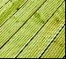 GREENHOUSES: ALUMINIUM GREENHOUSES and WOODEN GREENHOUSES - Lifetime preservative treatment