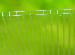 GREENHOUSE ACCESSORIES - Extra polycarbonate sheets