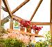 GREENHOUSES - Shelving