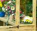 GREENHOUSES: ALUMINIUM GREENHOUSES and WOODEN GREENHOUSES - Staging and shelving