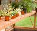 GREENHOUSES: ALUMINIUM GREENHOUSES and WOODEN GREENHOUSES - Staging