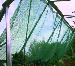 GREENHOUSES: ALUMINIUM GREENHOUSES and WOODEN GREENHOUSES - Shade netting