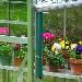 GREENHOUSES - Downpipes