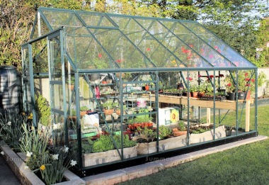 Large 10ft wide Greenhouse 522