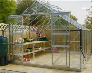 Large 10ft wide Greenhouse 523
