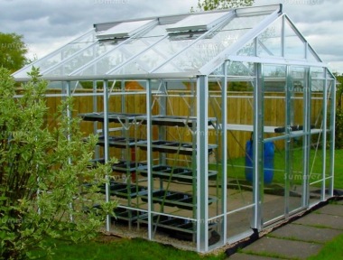 Large 10ft wide Greenhouse 615