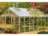 Large 12ft wide Greenhouse 617