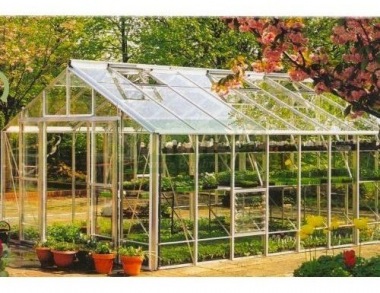 Large 12ft wide Greenhouse 617