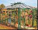 Hipped roof Greenhouse 64