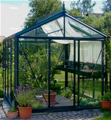 8ft wide Greenhouse 36