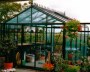 Large 10ft, 12ft wide Greenhouse 37