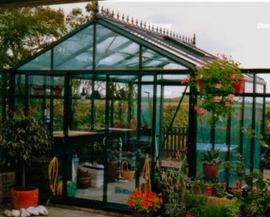 Large 10ft, 12ft wide Greenhouse 37