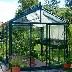 8ft wide Greenhouse 54