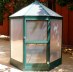 Octagonal Greenhouse 047