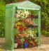 Small Growhouse 453
