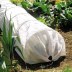 Tunnel Cloche