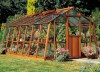 Large 10ft wide Greenhouse 72